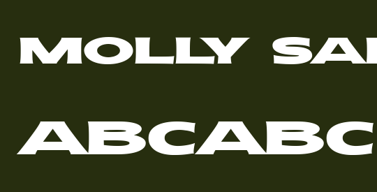 Molly Sans XE PERSONAL