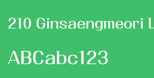 210 Ginsaengmeori L