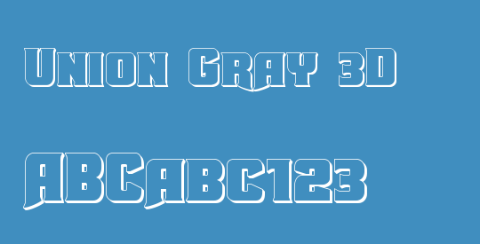 Union Gray 3D