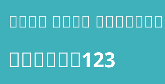 Noto Sans Gurmukhi UI