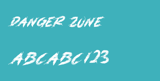 DANGER ZONE