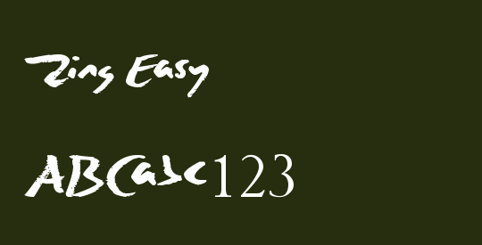 Zing Easy