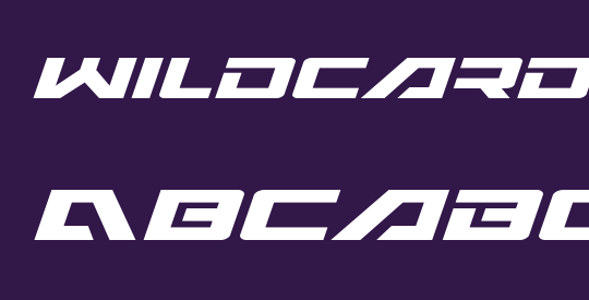 Wildcard Expanded Italic