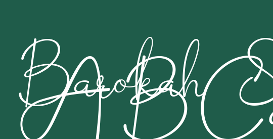 Barokah Signature