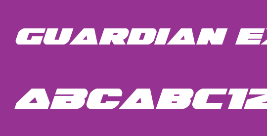 Guardian Expanded Italic