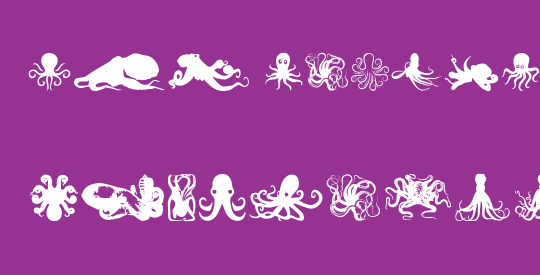The Octopus