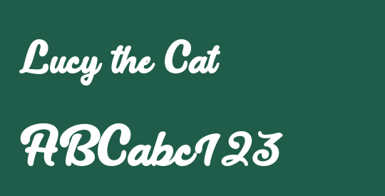Lucy the Cat