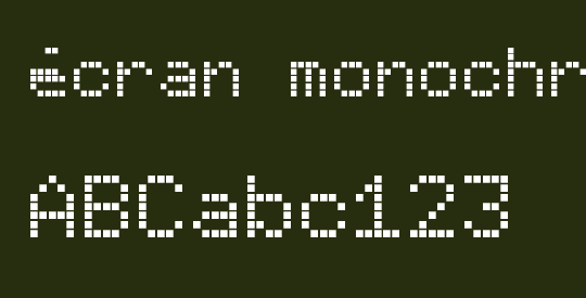 écran monochrome / monochrome display