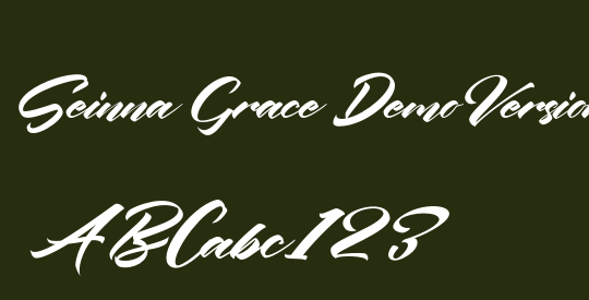 Seinna Grace Demo Version