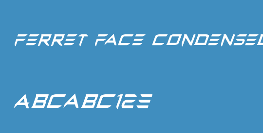 Ferret Face Condensed Italic