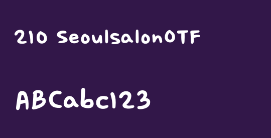 210 SeoulsalonOTF