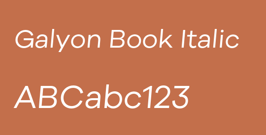 Galyon Book Italic