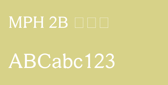 MPH 2B 大妈贼