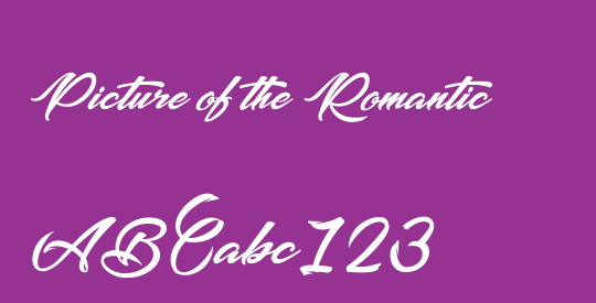 Picture of the Romantic