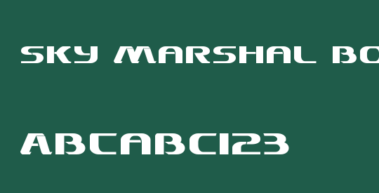 Sky Marshal Bold