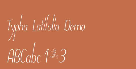 Typha Latifolia Demo