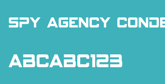 Spy Agency Condensed