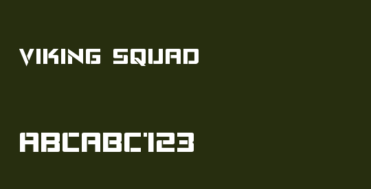 Viking Squad