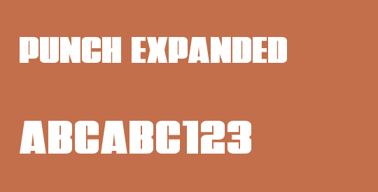 Punch Expanded