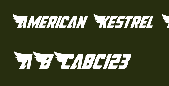 American Kestrel Condensed