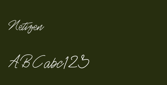 Netizen