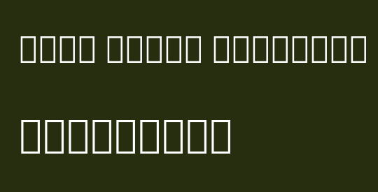 Noto Serif Georgian Cn