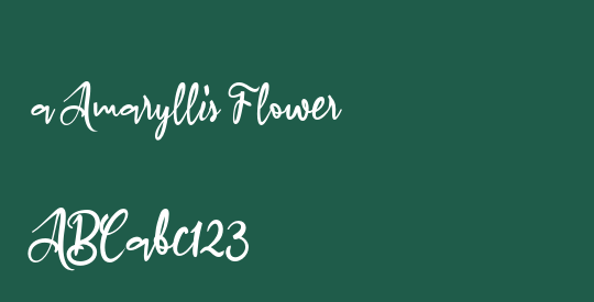 a Amaryllis Flower