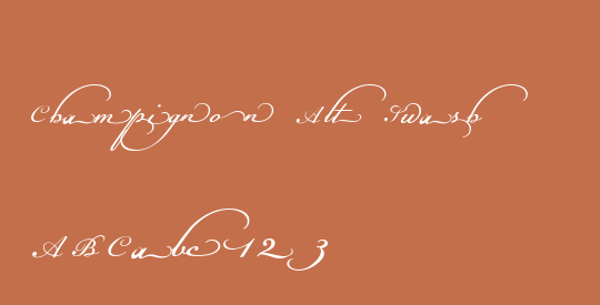 Champignon Alt Swash