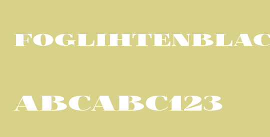 FoglihtenBlackPcs