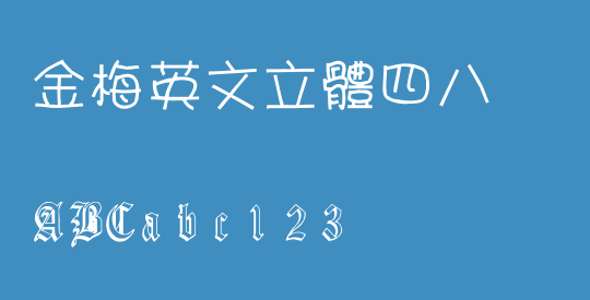 金梅英文立體四八