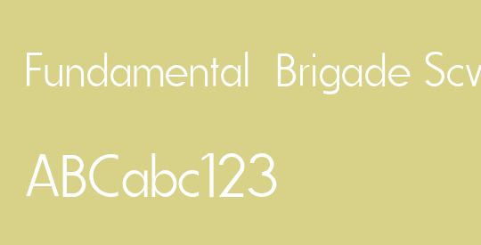 Fundamental  Brigade Scvhlank