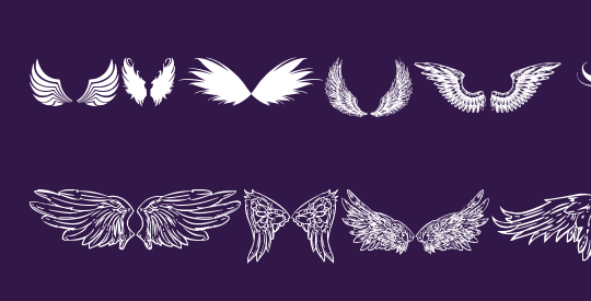 wings of wind tfb