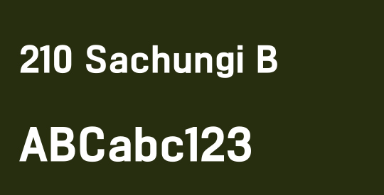 210 Sachungi B