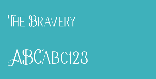 The Bravery