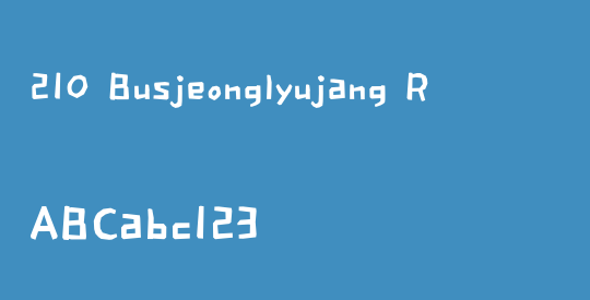 210 Busjeonglyujang R