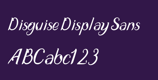 Disguise Display Sans