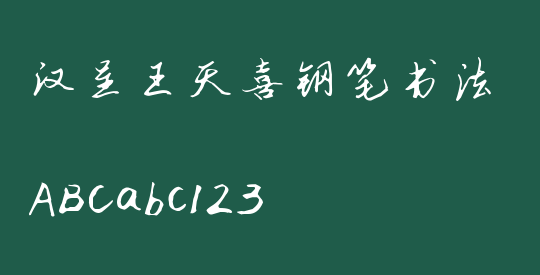 汉呈王天喜钢笔书法