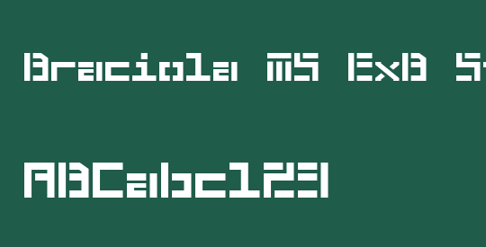 Braciola MS ExB Stencil