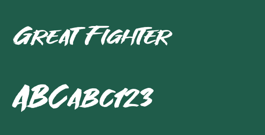 Great Fighter