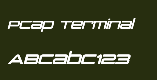 PCap Terminal