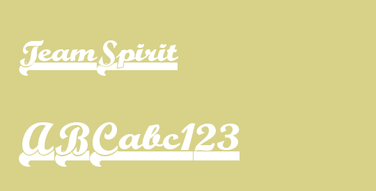 TeamSpirit