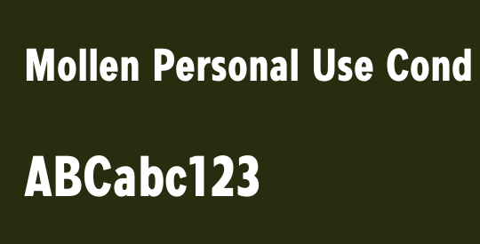Mollen Personal Use Cond