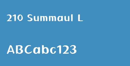 210 Summaul L