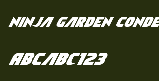 Ninja Garden Condensed Italic