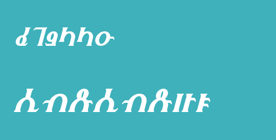 Fhokki