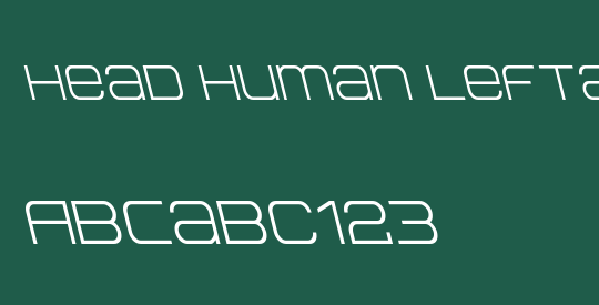 Head Human Leftalic