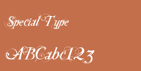 Special Type