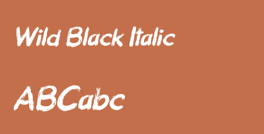 Wild Black Italic