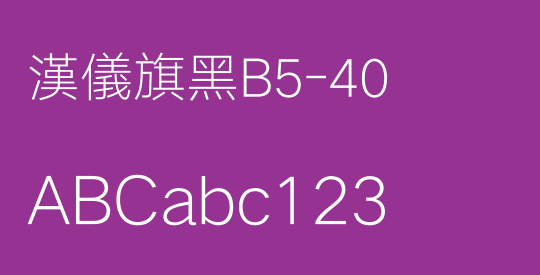 漢儀旗黑B5-40