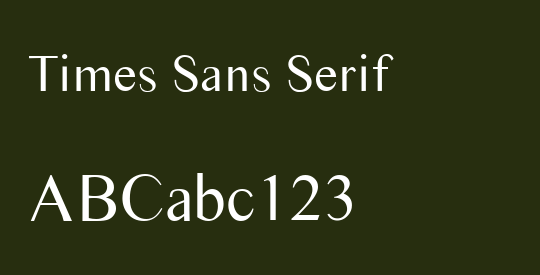 Times Sans Serif